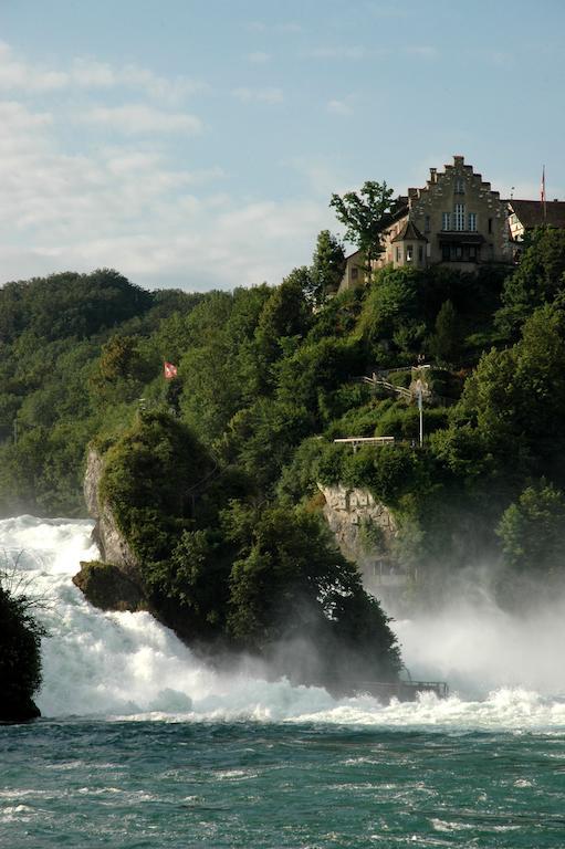 Landgasthof Hotel Rebstock Штюлинген Экстерьер фото
